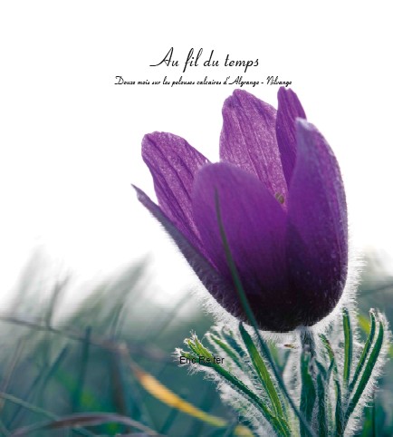 Capture d’écran 2026-03-14 114242